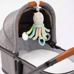 Activity-Oktopus