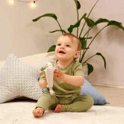 Baby HIPP Greifling mit Schmusetuch