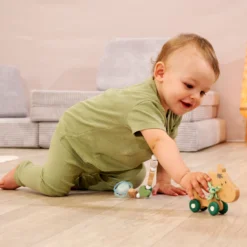 Baby HIPP Schiebe-Esel