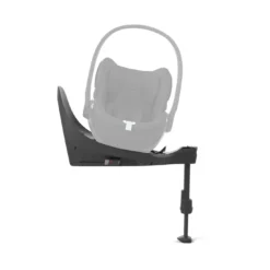 Base T
