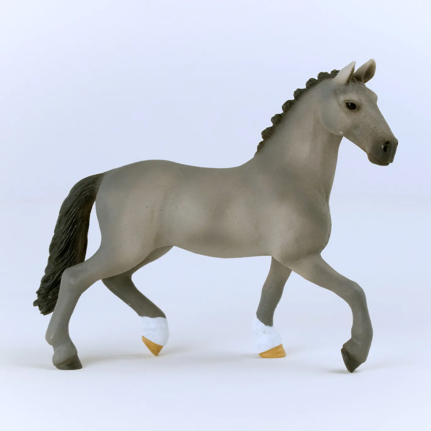 Cheval de Selle Francais Hengst