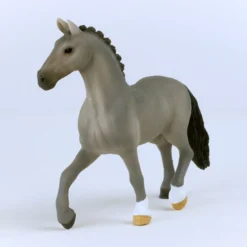 Cheval de Selle Francais Hengst