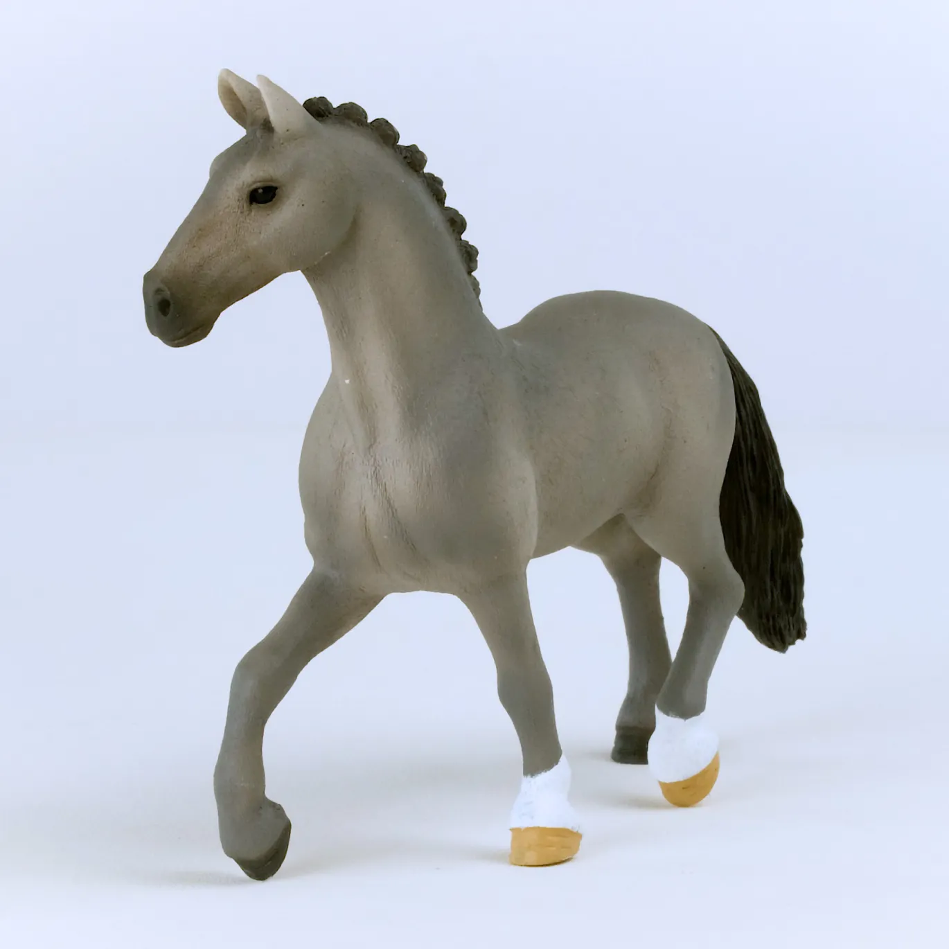 Cheval de Selle Francais Hengst