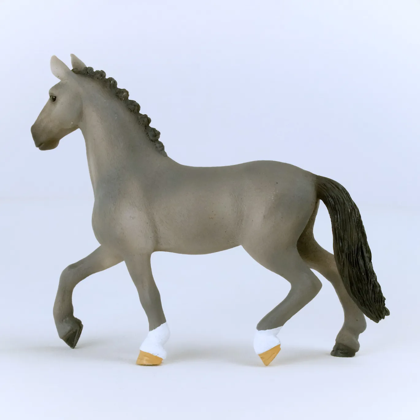 Cheval de Selle Francais Hengst
