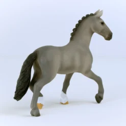 Cheval de Selle Francais Hengst