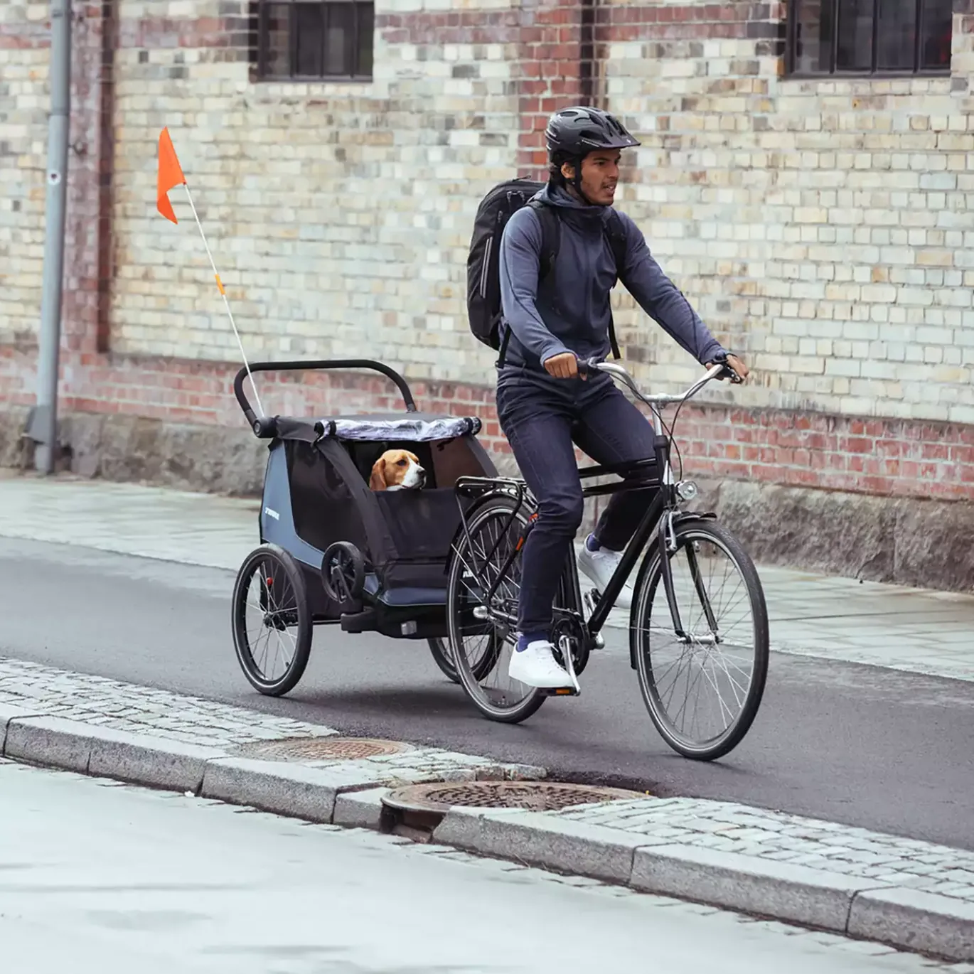 Courier Hundeanhänger-Kit