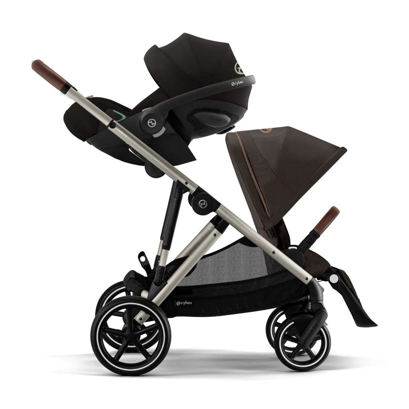 Gazelle S Chocolate Brown