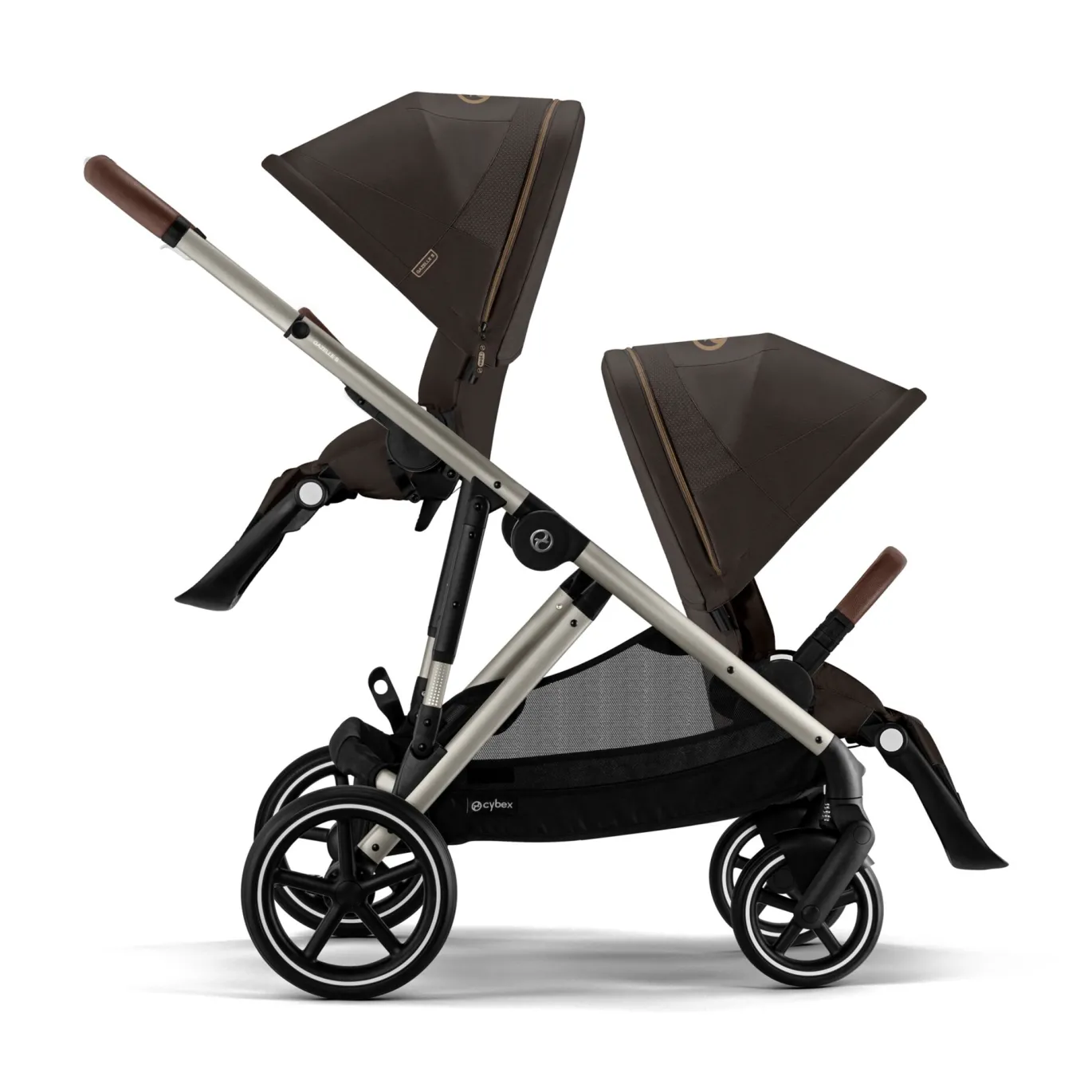Gazelle S Chocolate Brown