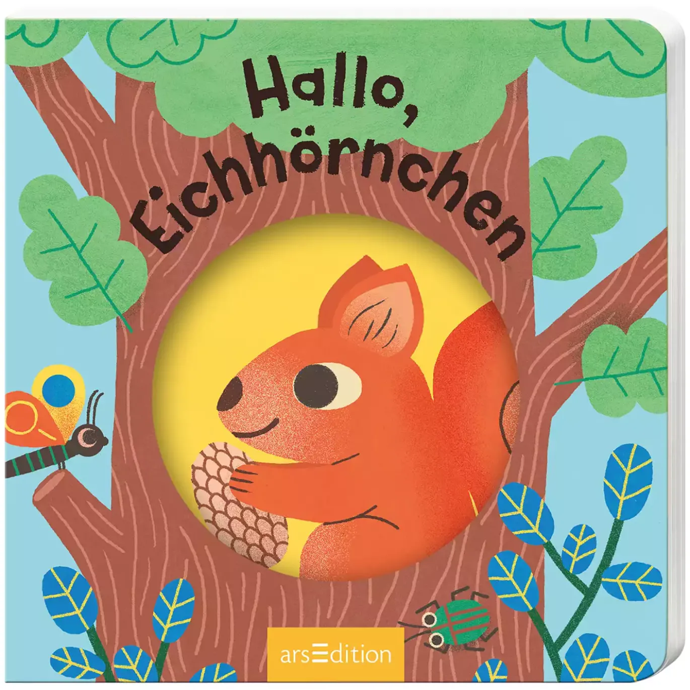 Hallo Eichhörnchen