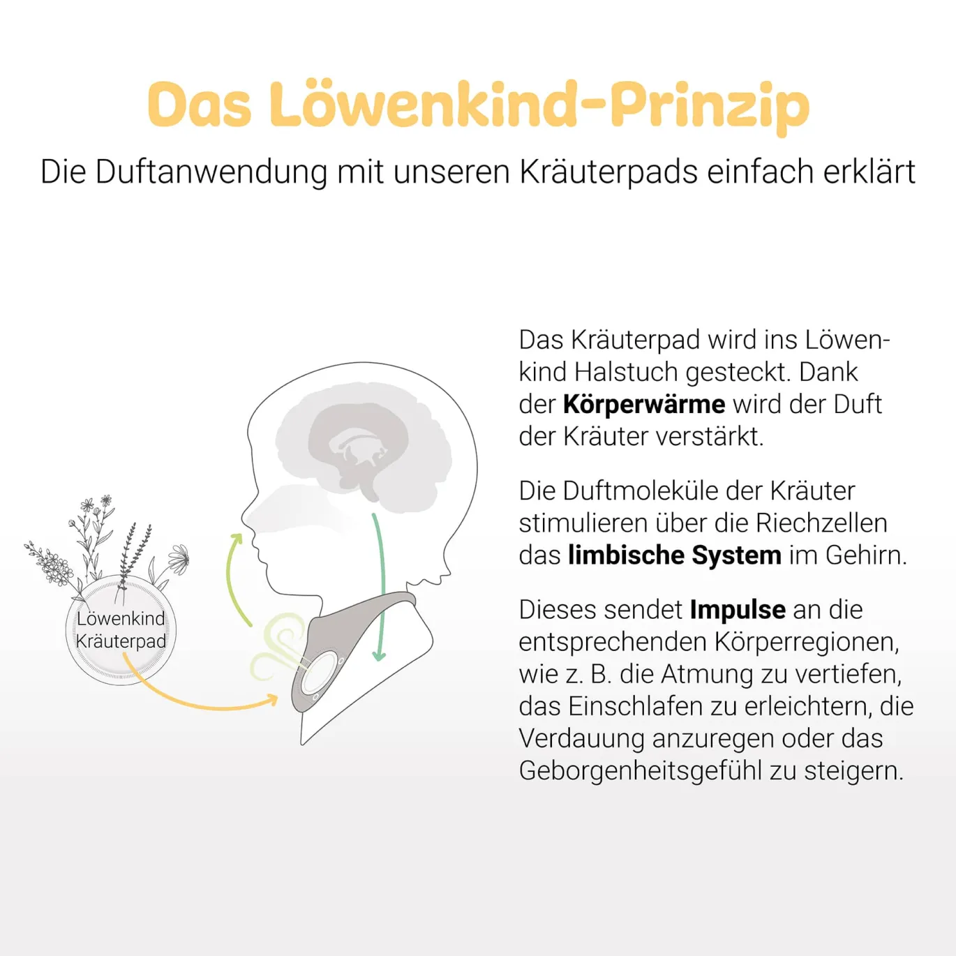 Halstuch Einsteigerbox