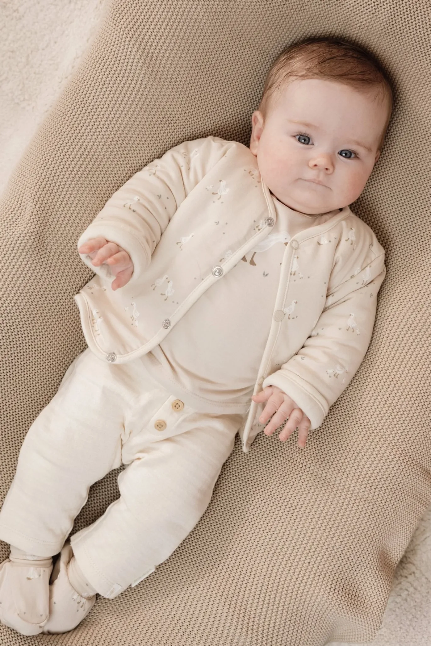 Hose