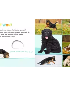 Hör mal rein, wer kann das sein? Tierkinder