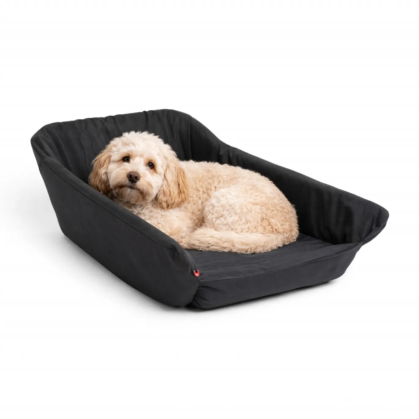 Hundebett S Milou