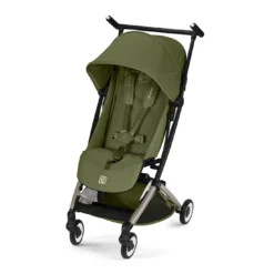 Libelle Moss Green mit Rahmen in Taupe 26
