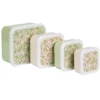 Luchbox 4er-Set Blumen
