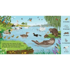 Mein erstes Natur-Wimmelbuch: Bei den Tierkindern