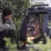 Pluto L Hundefahrradanhänger
