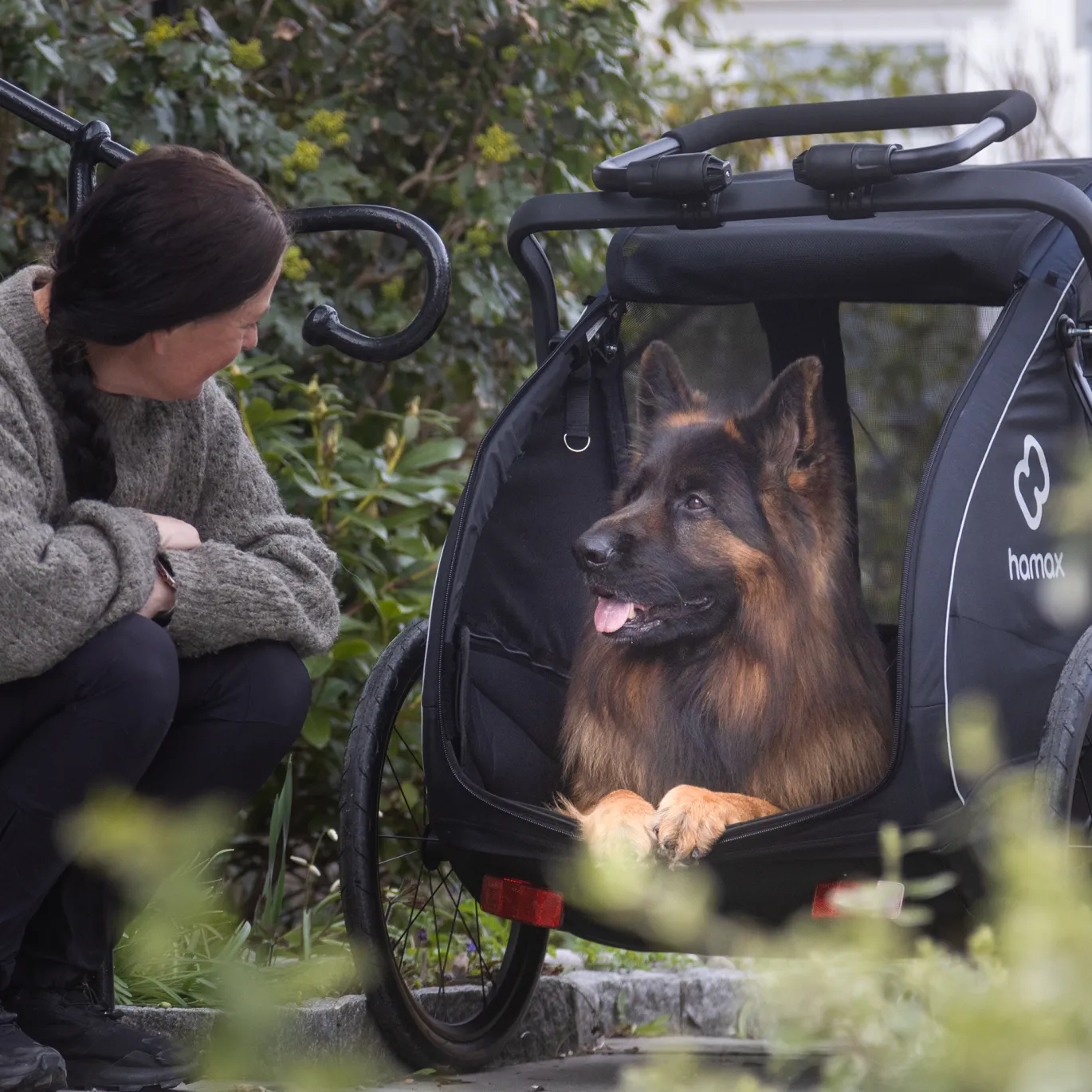 Pluto L Hundefahrradanhänger