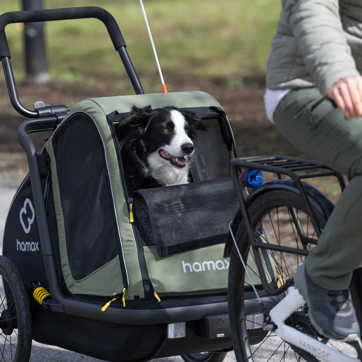 Pluto M Hundefahrradanhänger