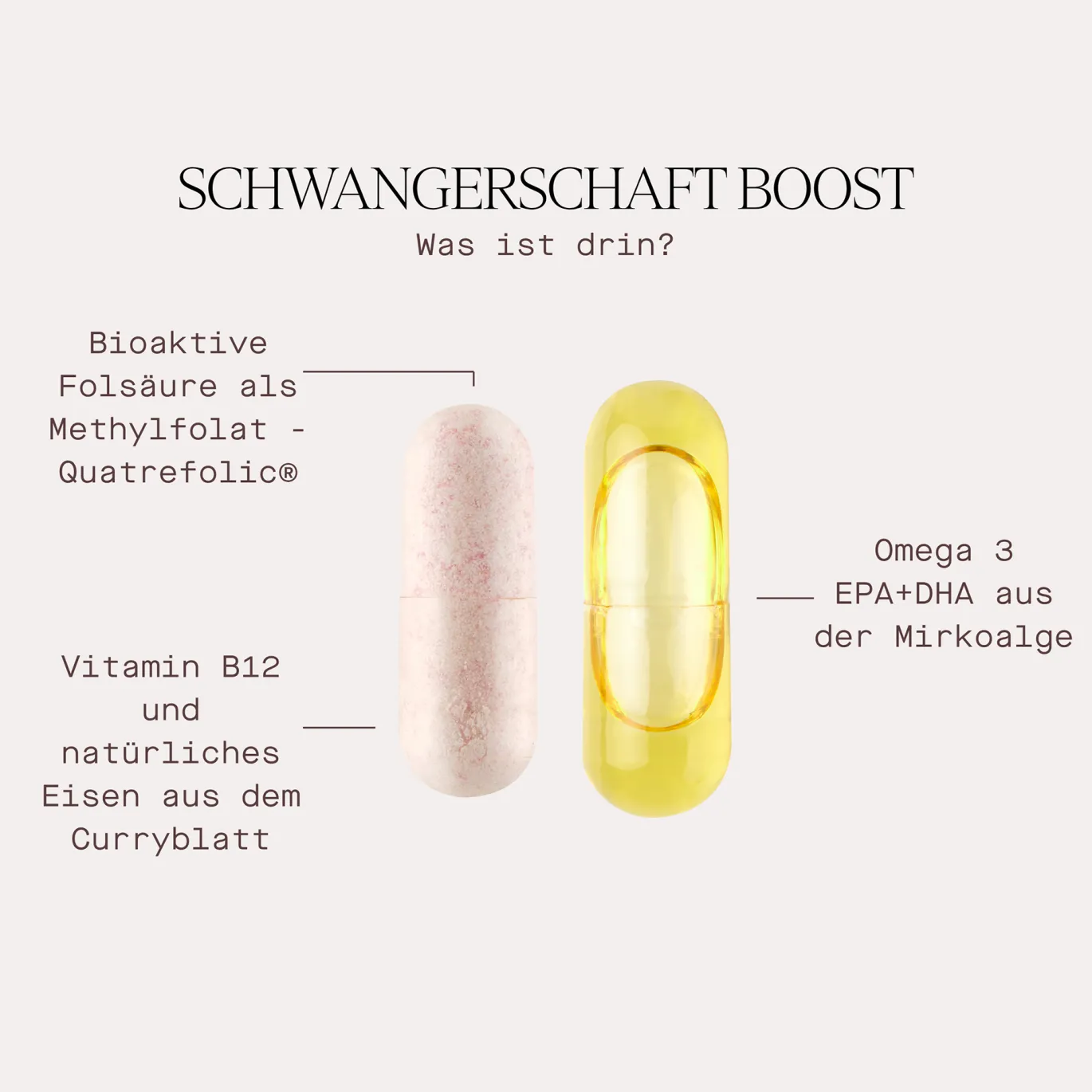 Schwangerschaft Boost