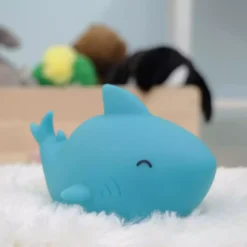 Sea Life Shark