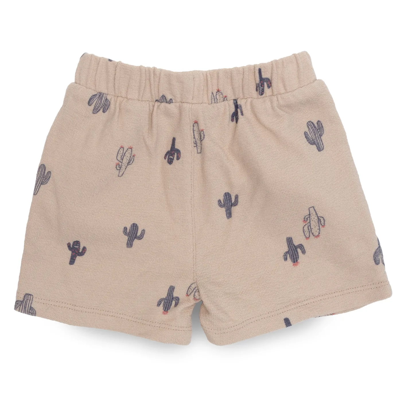 Shorts Kakteen