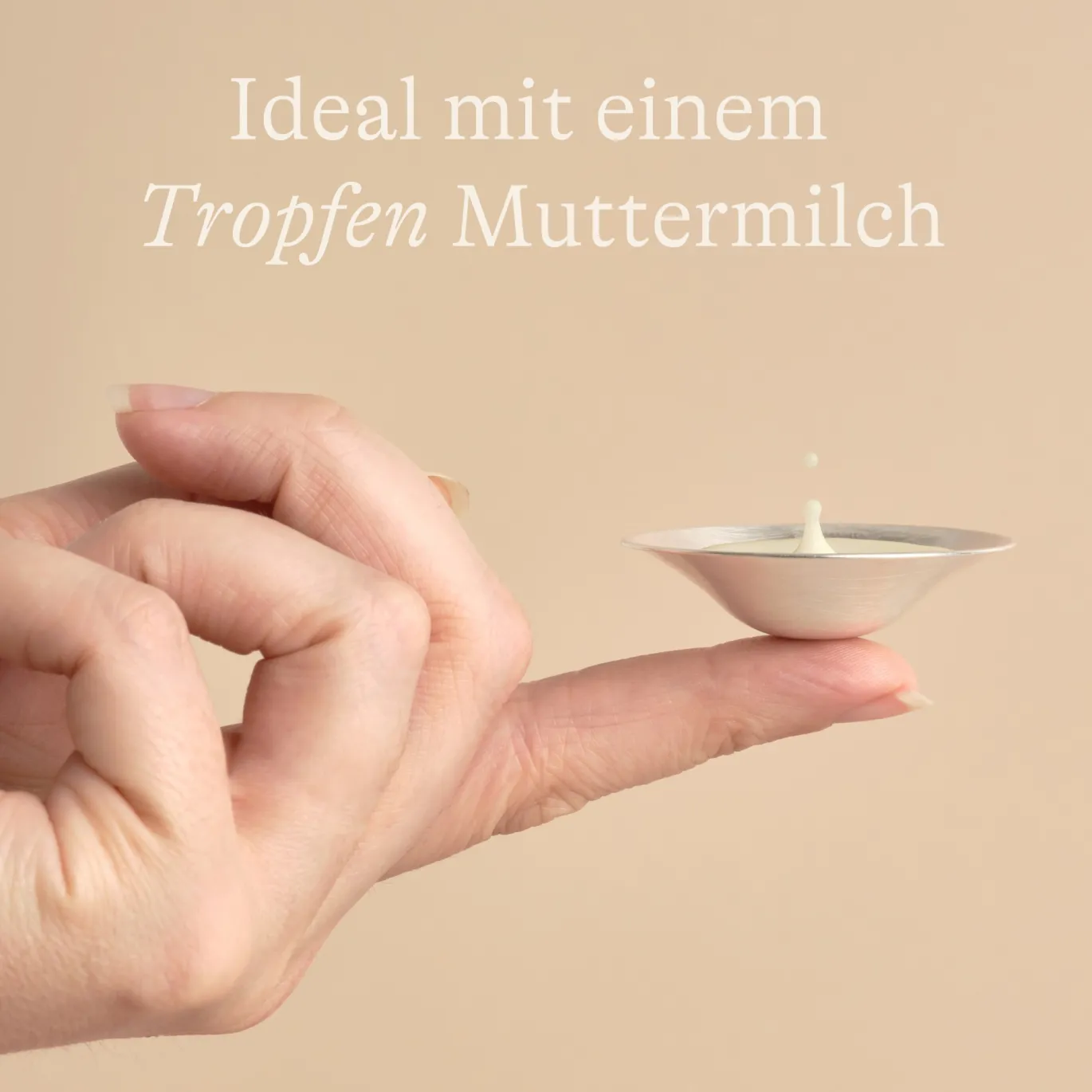 Silberhütchen