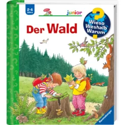 WWW junior Der Wald